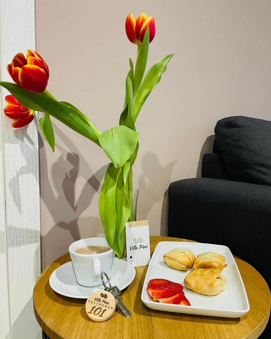 Villa Pino Velingrad Eksteriør bilde