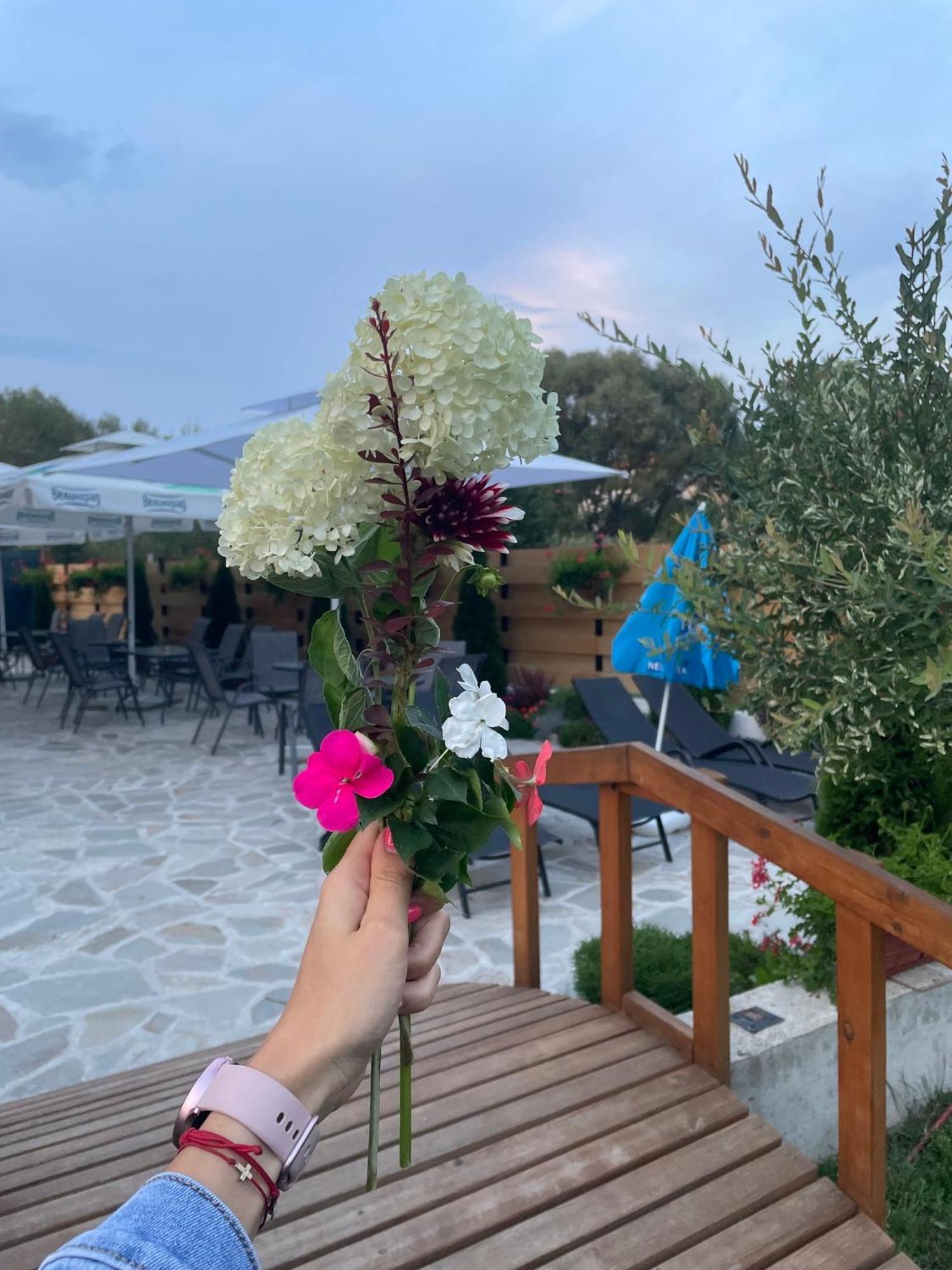 Villa Pino Velingrad Eksteriør bilde