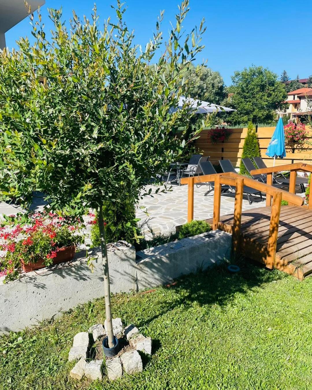 Villa Pino Velingrad Eksteriør bilde