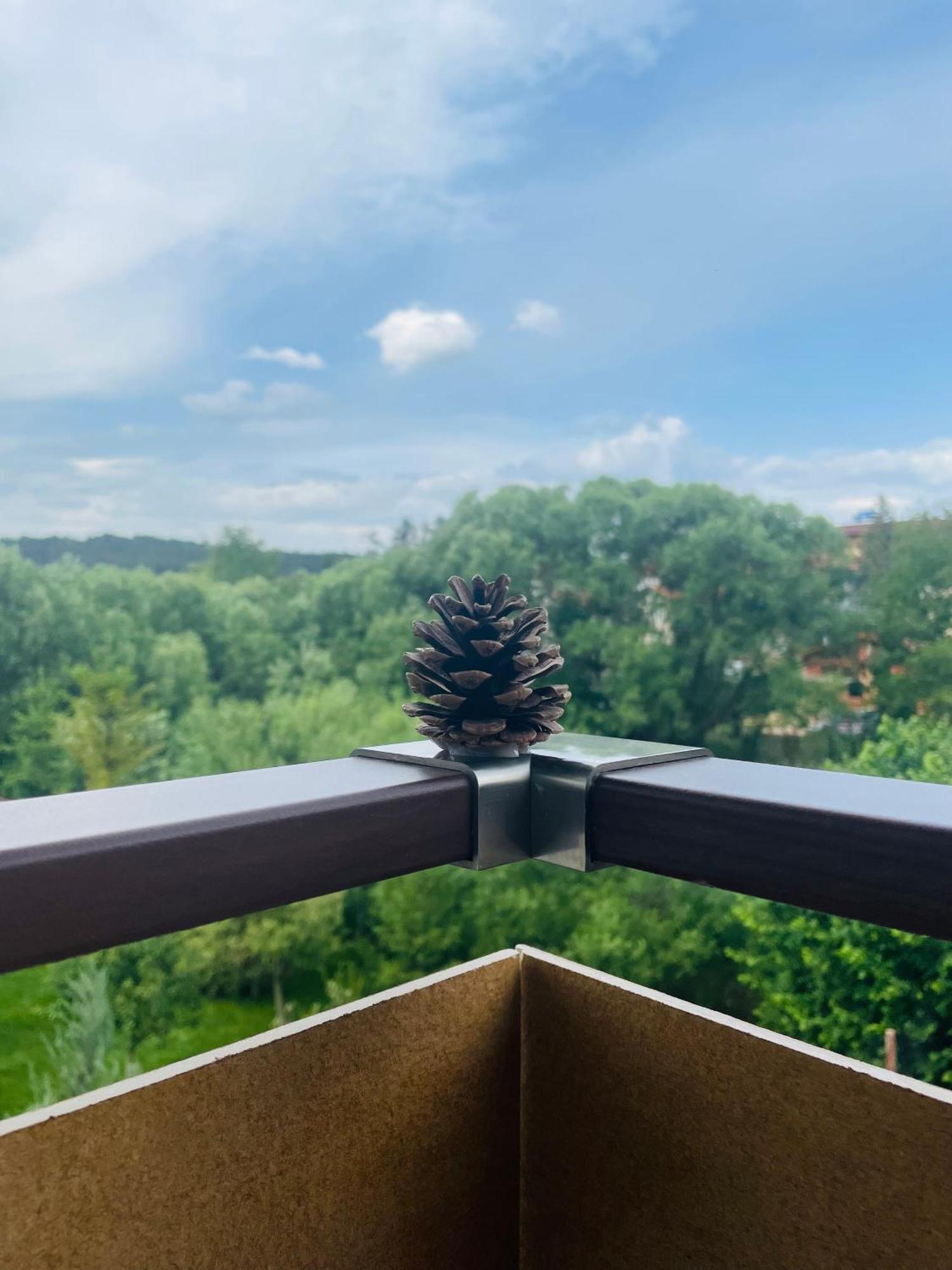 Villa Pino Velingrad Eksteriør bilde